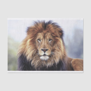 Papier Mousseline Lion africain masculin