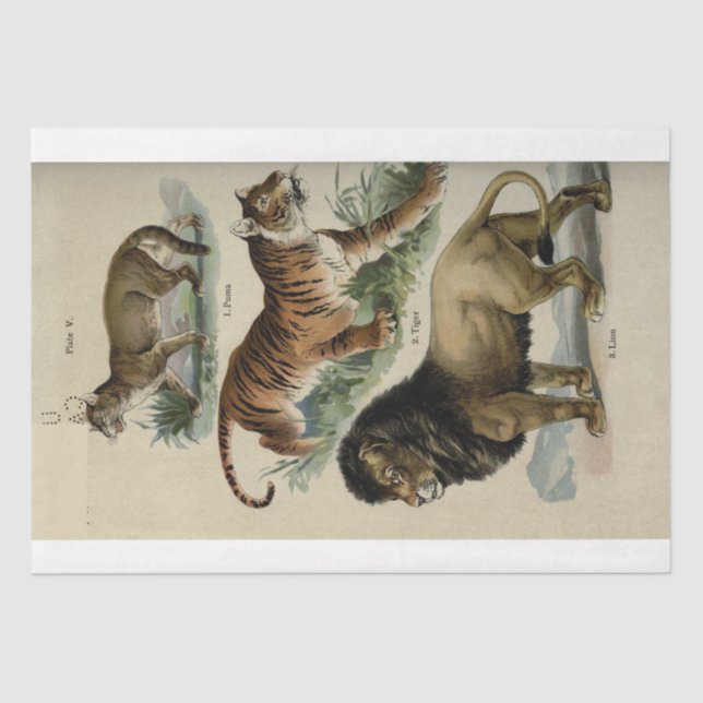 Papier Mousseline Lion Tiger Puma Ephemera Découpage (Recto)