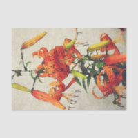 Lis lis tigré aquarelle orange 1