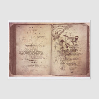 Papier Mousseline Livre Vintage