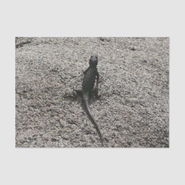 Papier Mousseline Lizard noir (Recto)