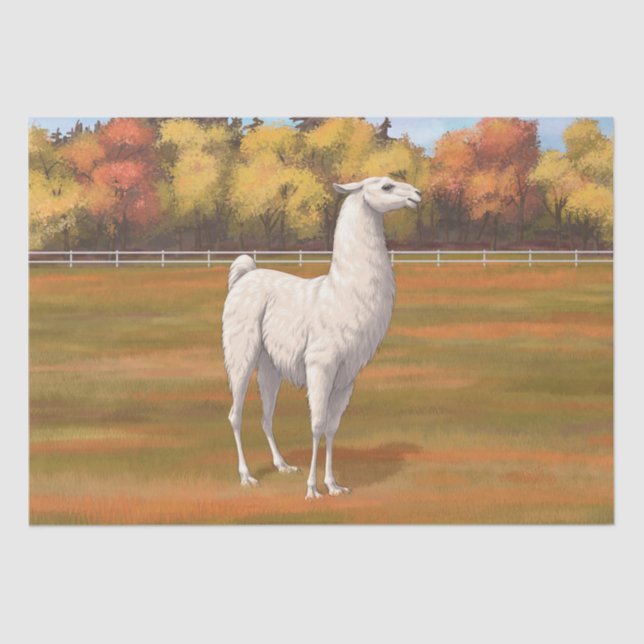 Papier Mousseline Llama blanche dans les pâturages agricoles d'autom (Recto)