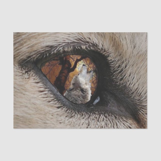 Papier Mousseline L'oeil du loup (Recto)