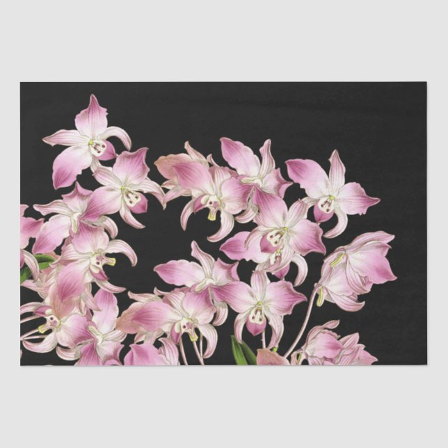 Papier Mousseline L'orchidée blanche rose tropicale fleurit le (Recto)