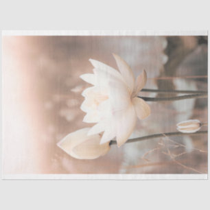 Papier Mousseline Lotus blanc, rose rose, herbe des Pampas, lac brum