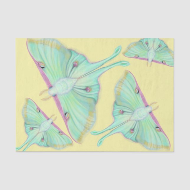 Papier Mousseline Luna Moth sur jaune (Recto)