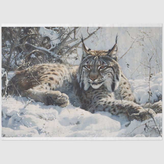 Papier Mousseline Lynx dans la page de découpage de neige (Recto)