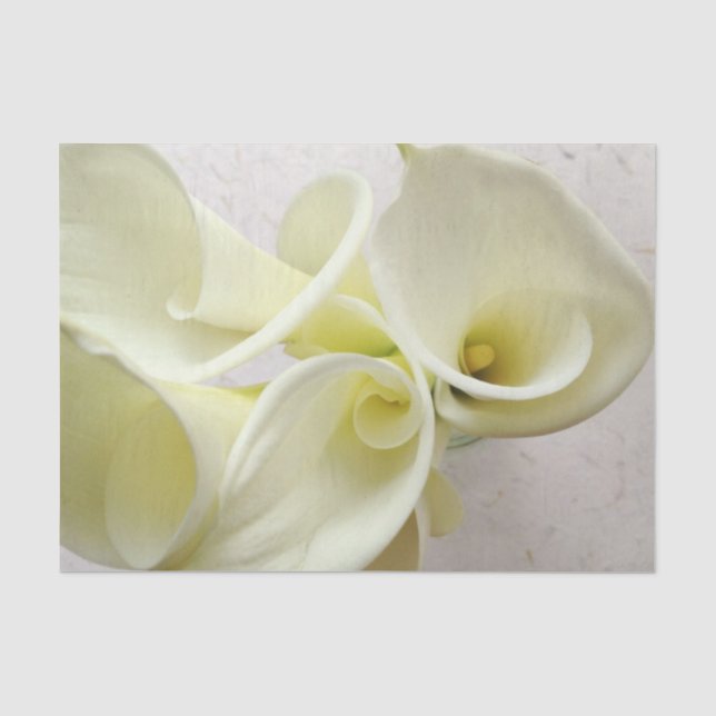 Papier Mousseline Lys calcaires blancs d'en haut (Recto)