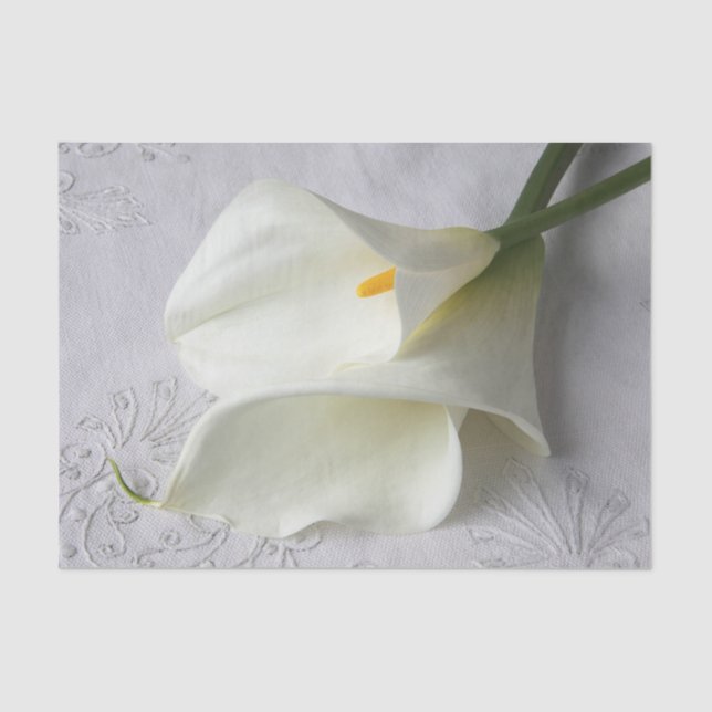 Papier Mousseline Lys calla blanc sur lin  (Recto)