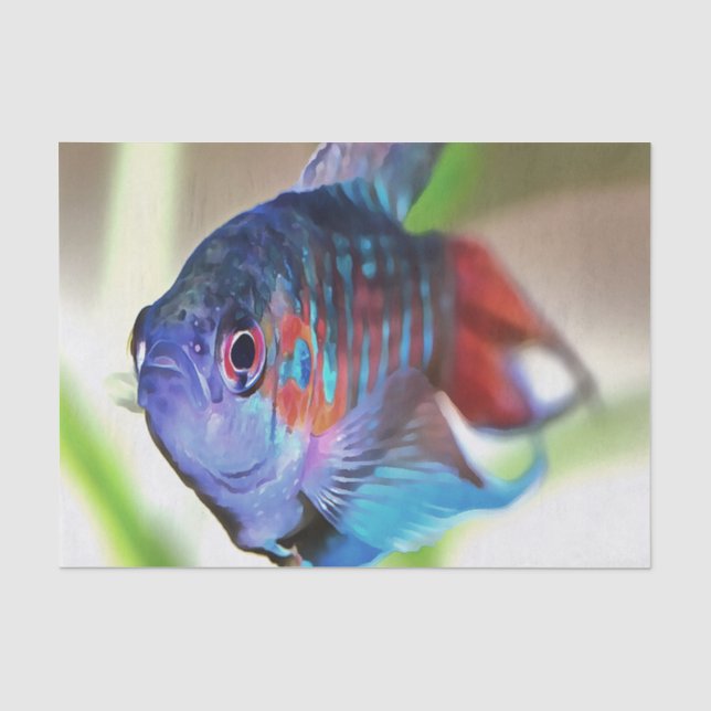 Papier Mousseline Macropodus Opercularis Aquarium Poisson (Recto)