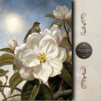 Papier Mousseline Magnolia Fleur Découpe d'Oiseaux Vintage