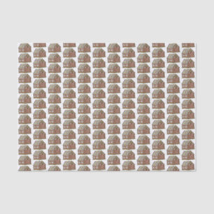 Papier Mousseline Maison de pain d'épice Noël Bonbons Noël Noël Noël