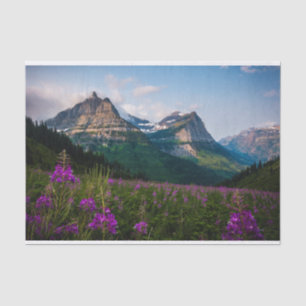 Papier Mousseline Majesté de la montagne Pittoresque Lupine