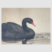 Majestic Black Swan Vintage Découpage Oiseau Impri