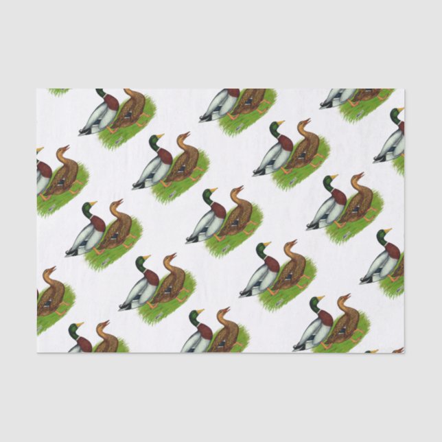 Papier Mousseline Mallard Drake et Duck (Recto)