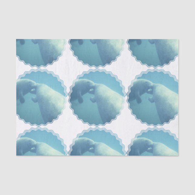 Papier Mousseline manatee-9 (Recto)