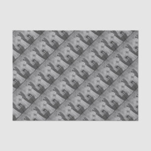 Papier Mousseline Mariage de chat