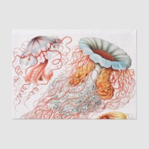 Papier Mousseline Méduse, Discomedusae par Ernst Haeckel