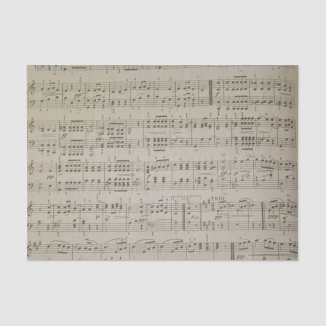 Papier Mousseline Menuetto (Recto)