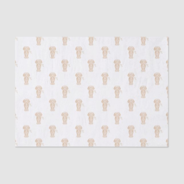 Papier Mousseline Mignonne long Haired Dachshund Chien de saucisse (Recto)