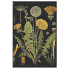 Mobilier Dandilion foncé Découpage Papier