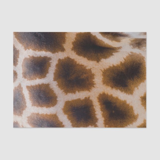 Papier Mousseline Modèle de texture de peau repéré par corrections (Recto)