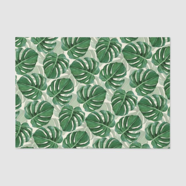 Papier Mousseline Monstère verte Feuille tropicale (Recto)