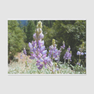 Papier Mousseline Mont Lupins