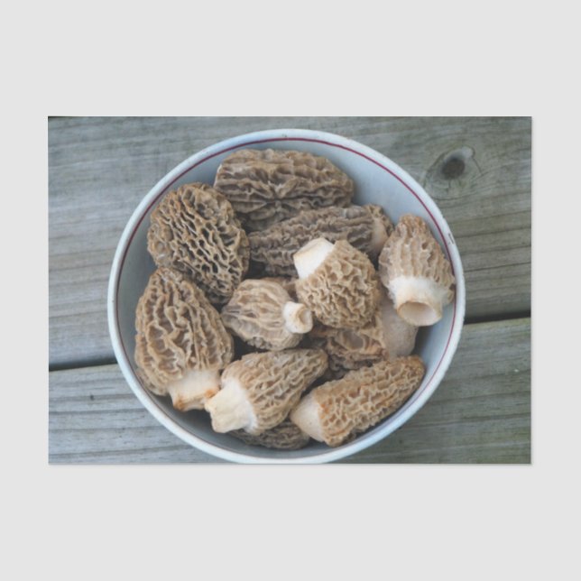 Papier Mousseline Morel Mushrooms (Recto)