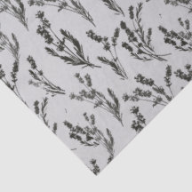 Motif de brindille de lavande en silhouette botani