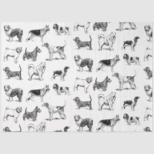 Papier Mousseline Motif de chiens Vintages noirs et blancs (Recto)