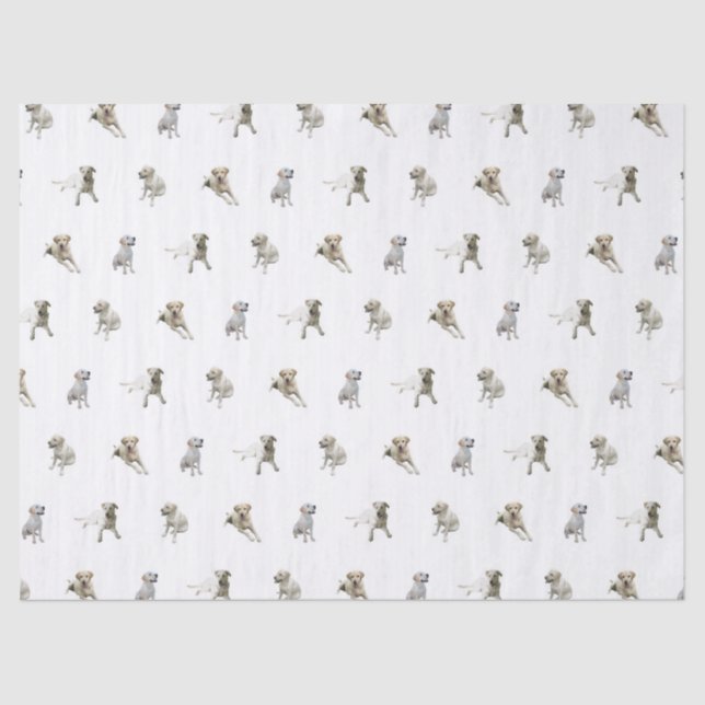 Papier Mousseline Motif de labrador retriever (blanc) (Recto)