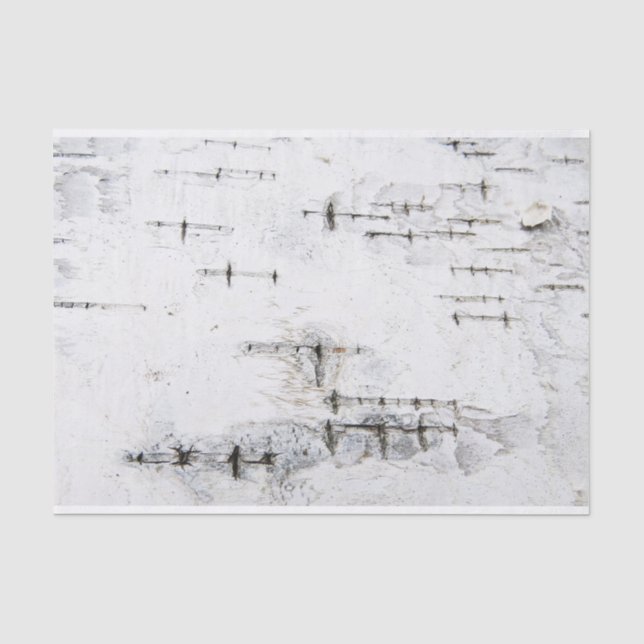 Papier Mousseline Motif d'écorce de bouleau (Recto)