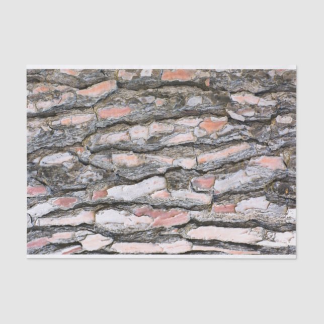 Papier Mousseline Motif d'écorce de pin (Recto)