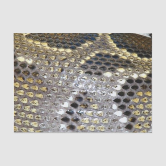 Papier Mousseline Motif d'or de peau de serpent (Recto)
