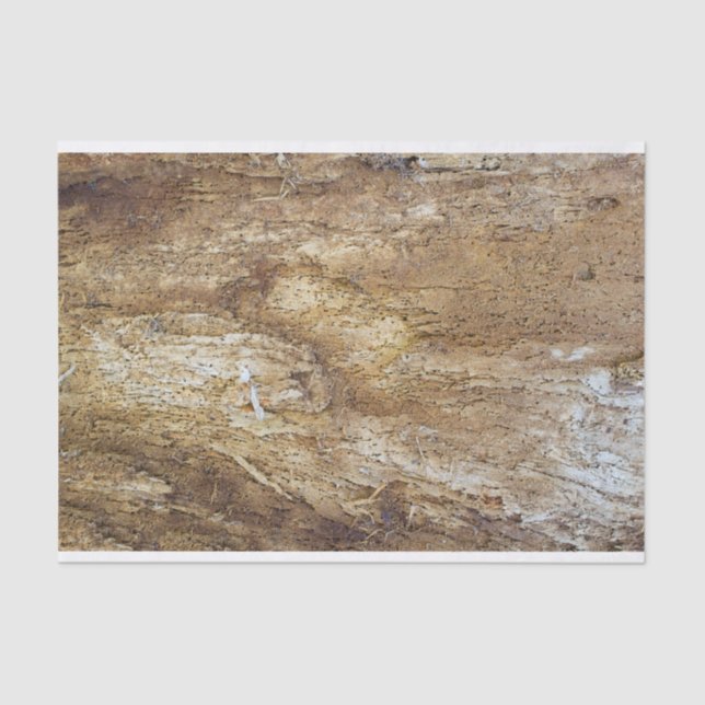 Papier Mousseline Motif en bois écorce (Recto)