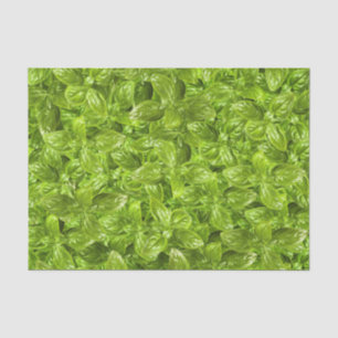Papier Mousseline Motif Feuille Basil