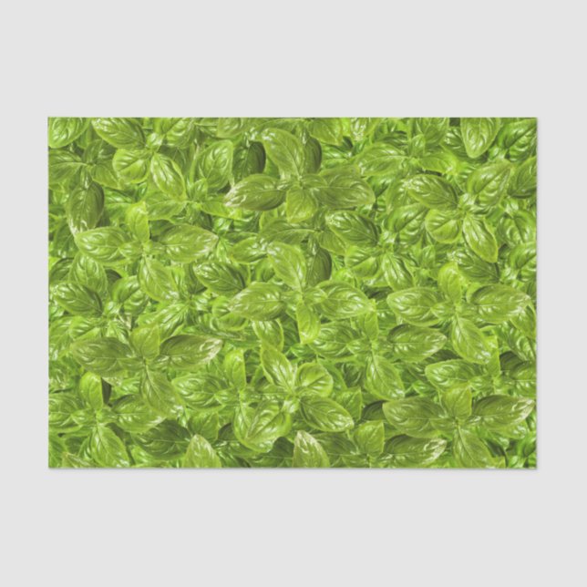 Papier Mousseline Motif Feuille Basil (Recto)