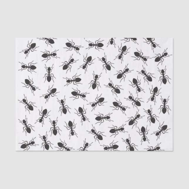 Papier Mousseline Motif noir drôle de fourmis (Recto)