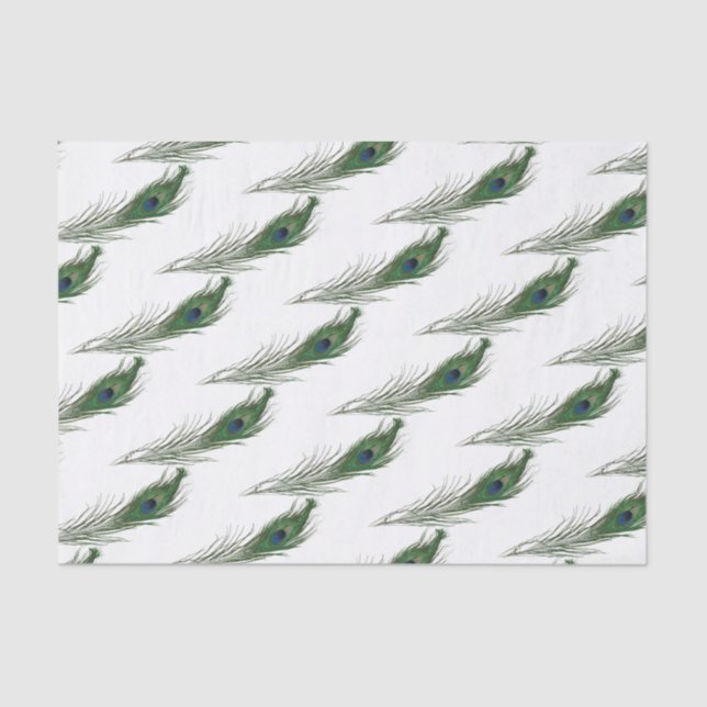 Papier Mousseline Motif Peacock Feather | Thème (Recto)