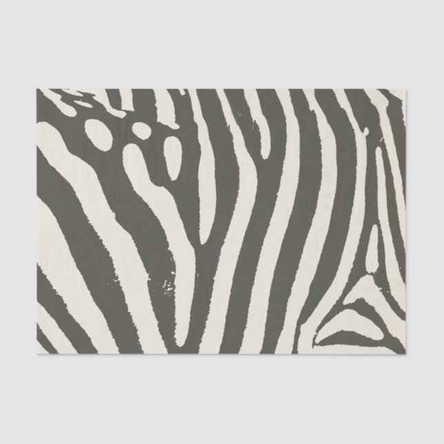 Papier Mousseline Motif Poster de animal Zebra Stripe (Recto)