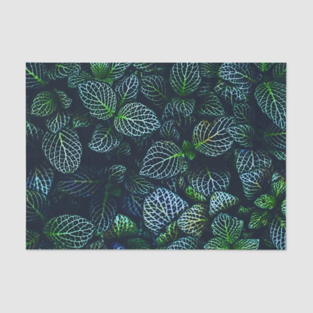Papier Mousseline Motif tropical d'usine de feuille (Recto)