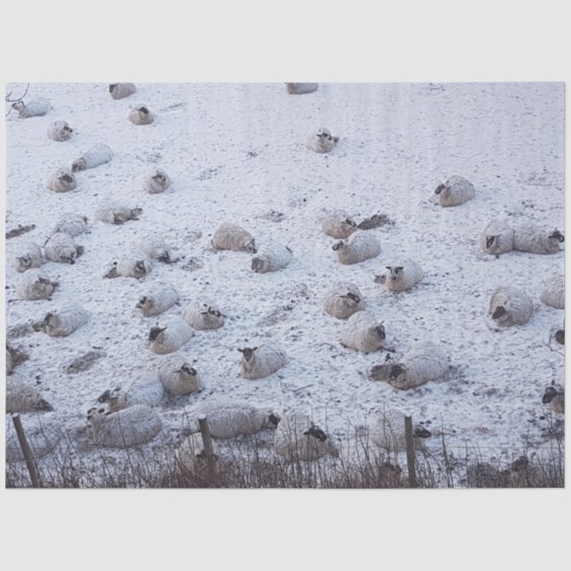 Papier Mousseline Moutons dans la neige (Recto)