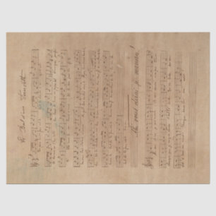 Papier Mousseline Musique et Rose Series Design 3