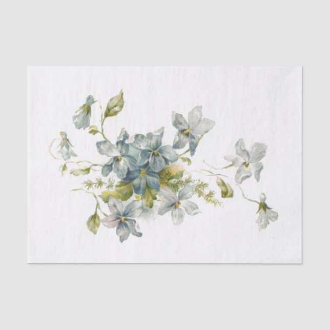 Papier Mousseline Myosotis des marais (Recto)
