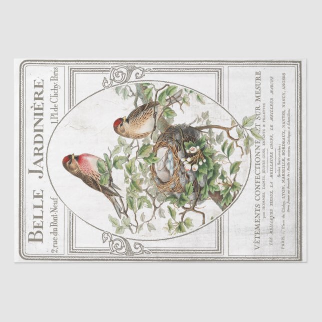 Papier Mousseline Nid d'oiseaux Typographie française Jardin Découpa (Recto)