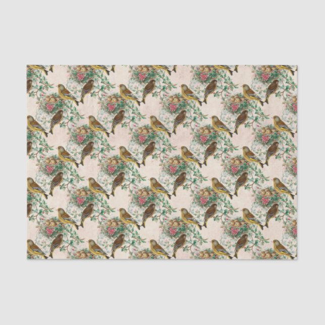 Papier Mousseline Nid vintage pour bébé (Recto)