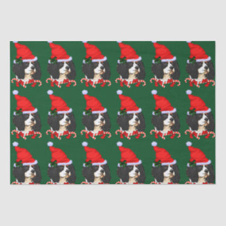 Papier Mousseline Noël Cavalier King Charles Spaniel