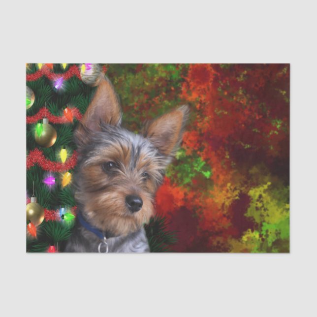 Papier Mousseline Noël de Yorkie (Recto)