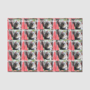 Papier Mousseline Noël maltais avec Arbres rouges